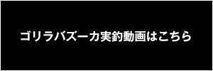 実釣動画