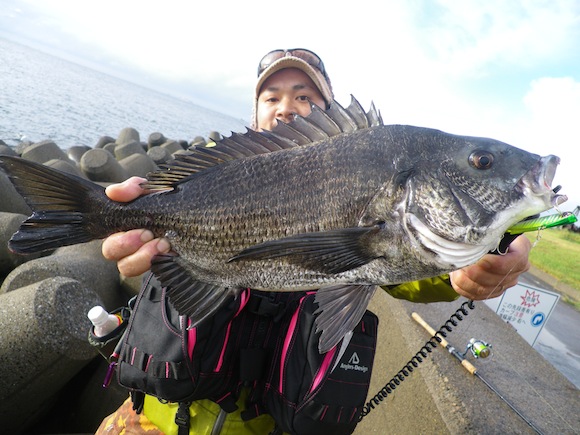 009.jpg 580��435 97K