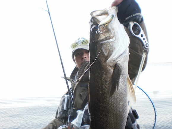 013.jpg 580��435 58K