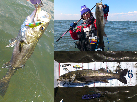 0314.jpg 580��435 317K