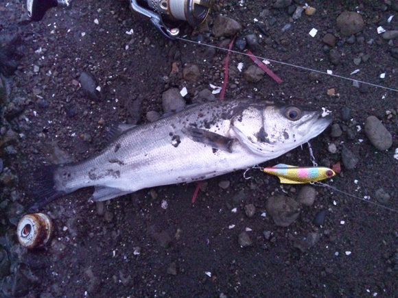 DSC_0928.gif 580��435 208K