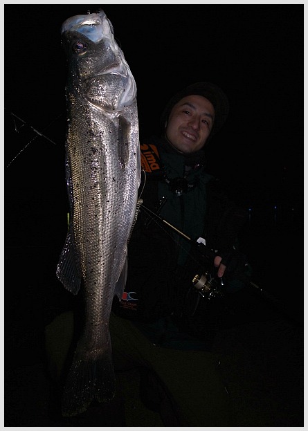 R0010783.JPG 445��623 78K