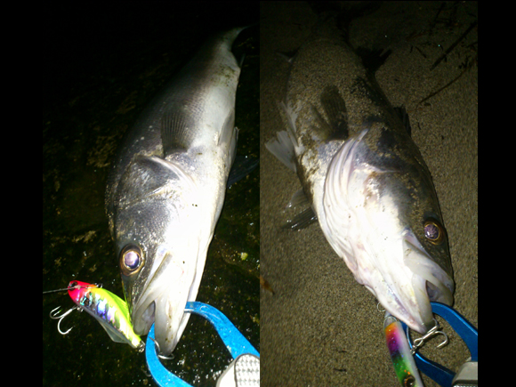 grp0317094150.jpg 580��435 258K