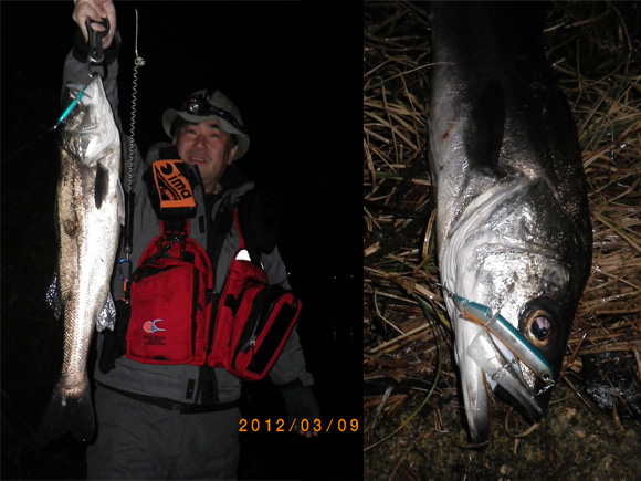 grp0317095247.jpg 580��435 123K