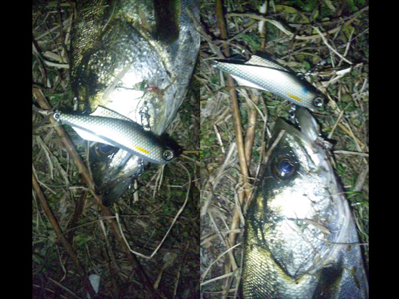 grp0317170133.jpg 580��435 157K