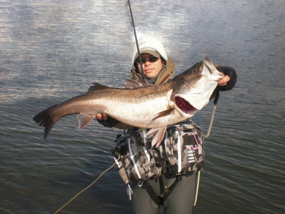 grp0317171602.jpg 580��435 194K