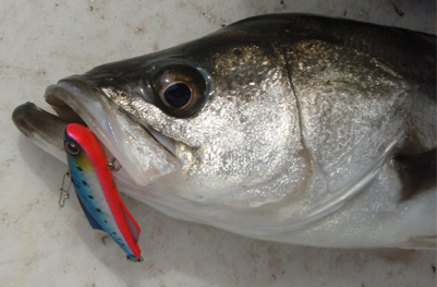 grp0326105137.jpg 401��263 66K