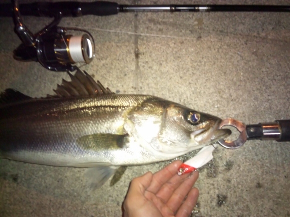 grp0326155616.jpg 1600��1200 198K