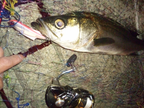 grp0330112352.jpg 580��435 199K