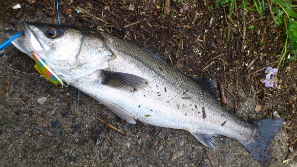 grp0605121550.jpg 580��326 212K