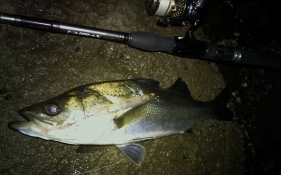 grp0612130837.jpg 580��362 136K