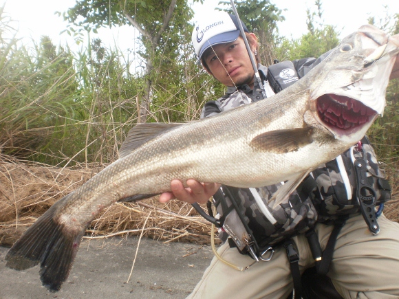 grp0621135408.jpg 580��435 229K