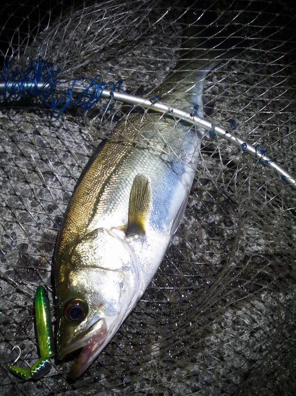 grp0622114834.jpg 434��580 248K