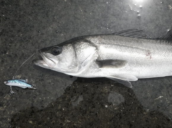 grp0625110652.jpg 580��433 178K