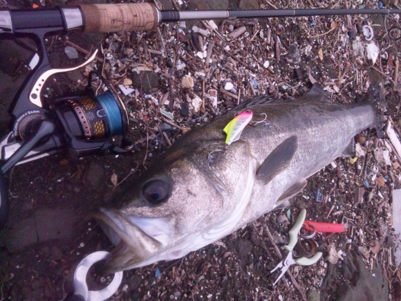 grp0630100351.jpg 580��435 221K