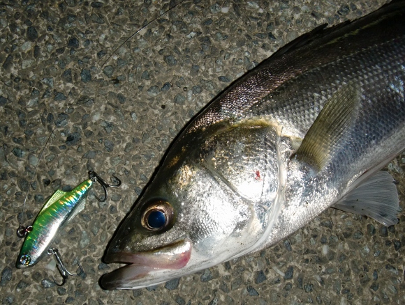 grp0702162838.jpg 580��438 251K