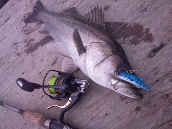 grp0703172802.jpg 580��435 185K