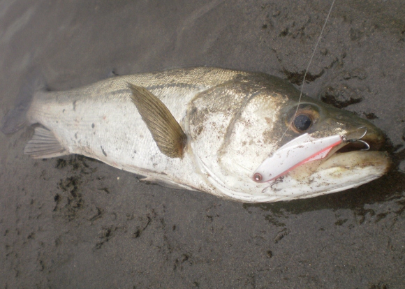 grp0709155916.jpg 580��414 173K