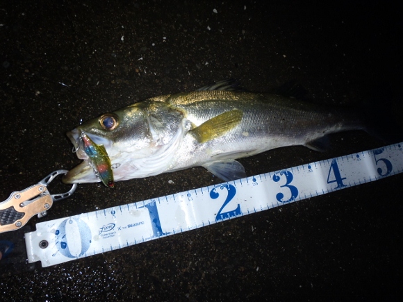 grp0709160321.jpg 580��435 171K