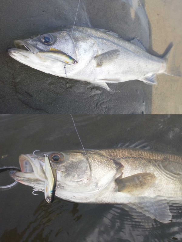 grp0720091952.jpg 600��800 270K