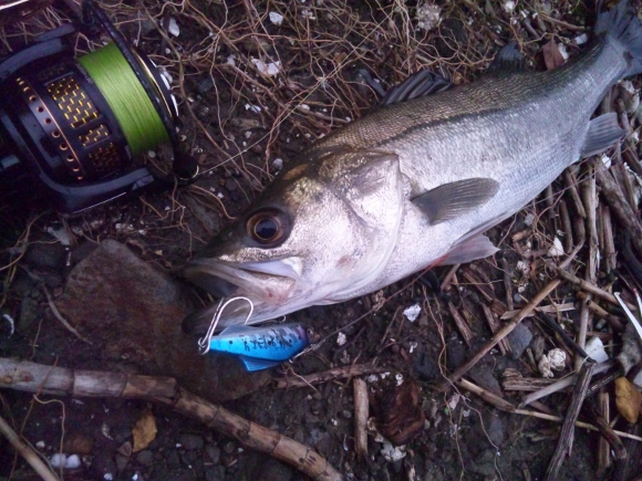 grp0720092541.jpg 580��435 211K