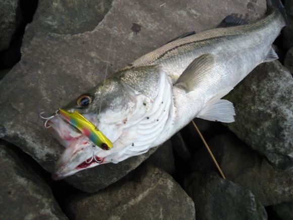 grp0720092955.jpg 580��435 160K