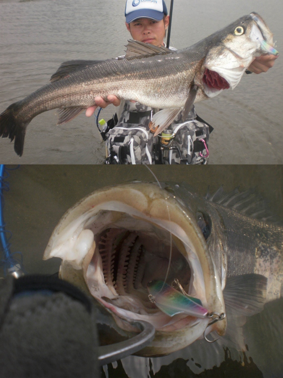 grp0723152211.jpg 562��750 252K