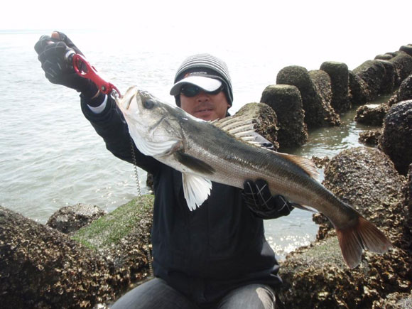 kickbeat-2.JPG 580��435 64K