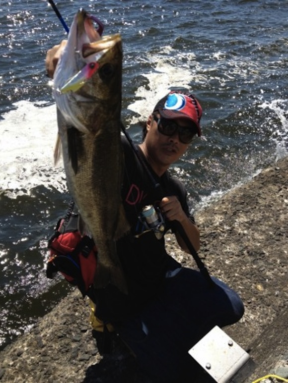 r566ba52k8x724udtmke_480_360-abbc7d9f.jpg 580��773 156K