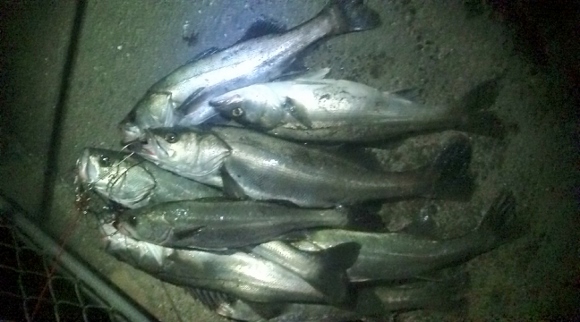 grp0408104009.jpg 580��322 124K