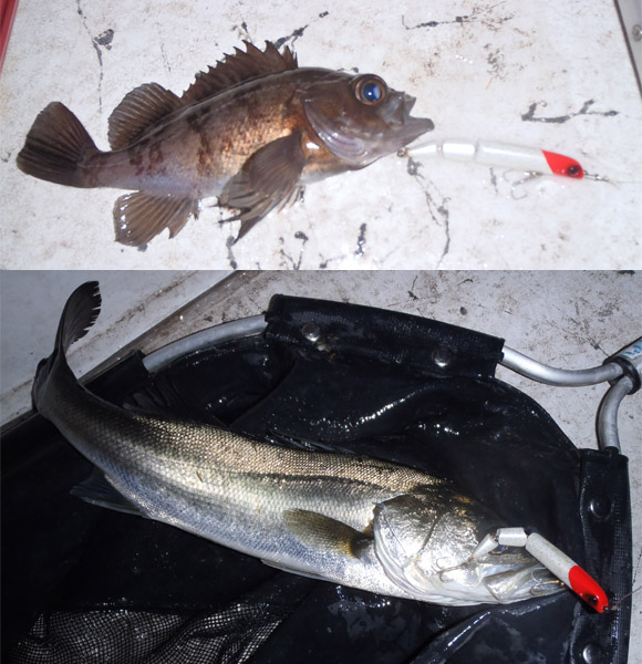 grp0408105635.jpg 580��600 136K