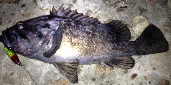 grp0620094156.jpg 580��290 158K