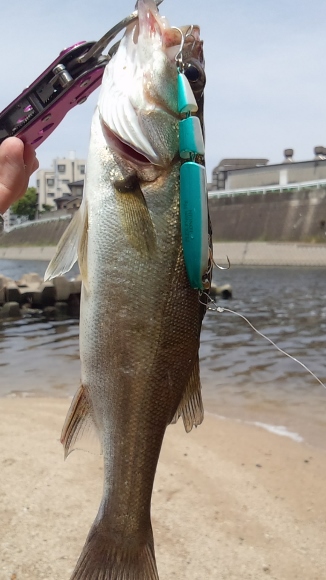 grp0620110642.jpg 326��580 119K