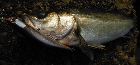 grp0620112902.jpg 580��272 167K